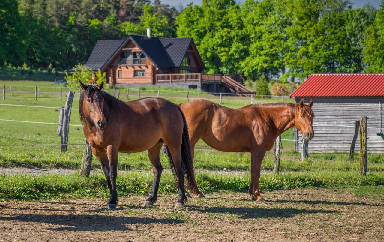 فندق Ranch Jestrebice Hermanicky المظهر الخارجي الصورة